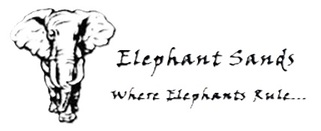 Elephant Sands